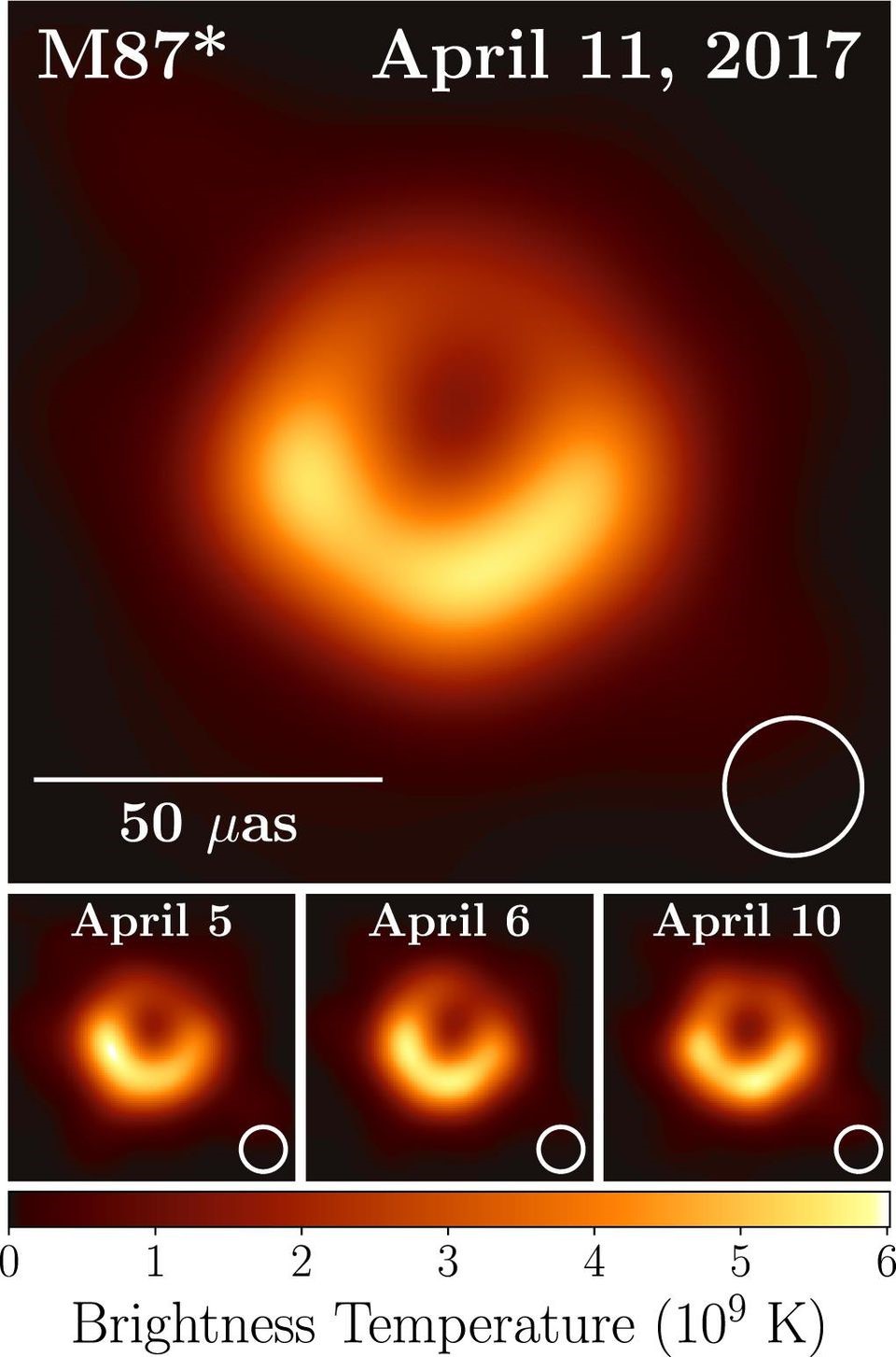 Li Es Que A Primeira Imagem Do Horizonte De Eventos De Um Buraco